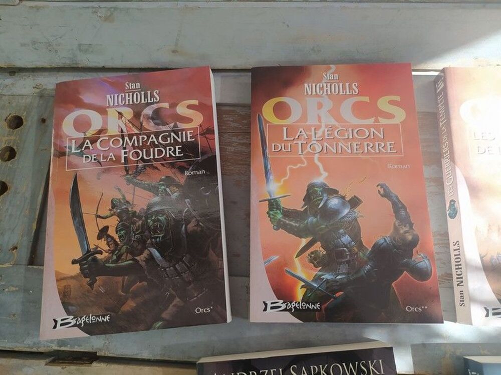 Lot Livres Romans Fantastiques Collection Bragelonne Livres et BD