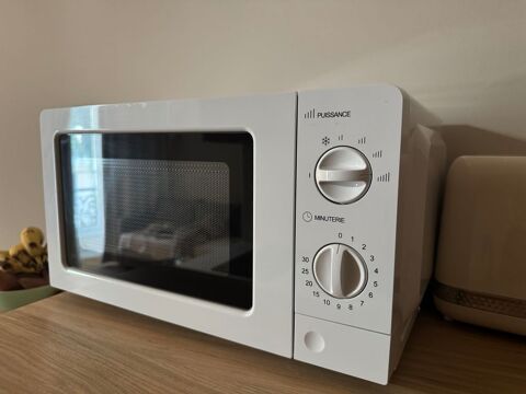 Micro onde 50 Nice (06)