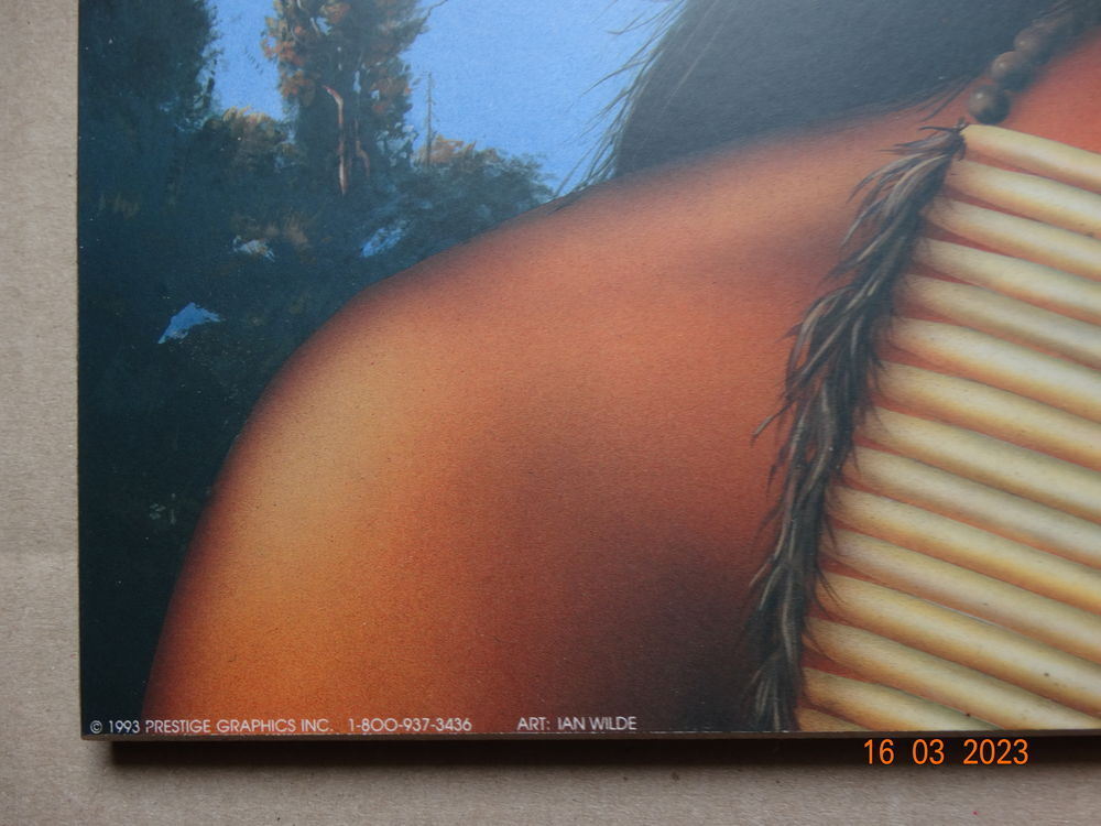 -	n&deg;2 TABLEAU PORTRAIT INDIEN - affiche sur m&eacute;lamine 