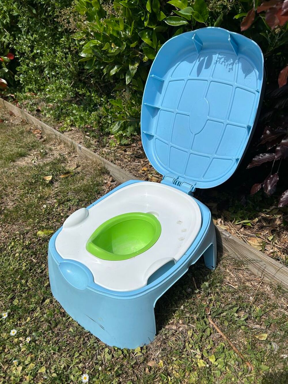 Pot avec r&eacute;ducteur WC Puériculture