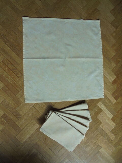 Grande nappe plastifiée + serviettes 40 Tours (37)