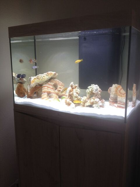 cychlides 20 34110 Frontignan