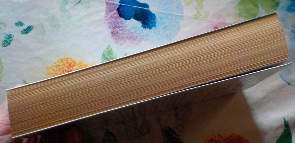 DES AMIS SI PROCHES de Danielle STEEL Ed. France Loisirs Livres et BD