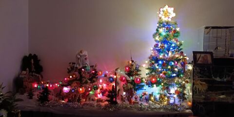 No�l 80 Bagn�res-de-Bigorre (65)