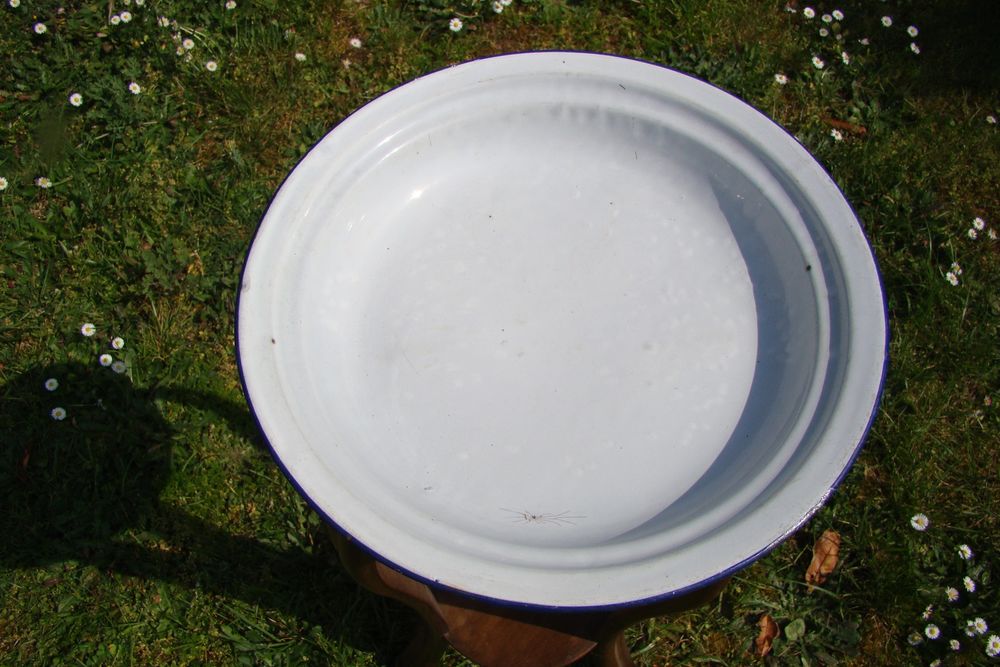 Ancienne bassine en t&ocirc;le &eacute;maill&eacute;e &agrave; fond plat - Epoque 1900 Décoration