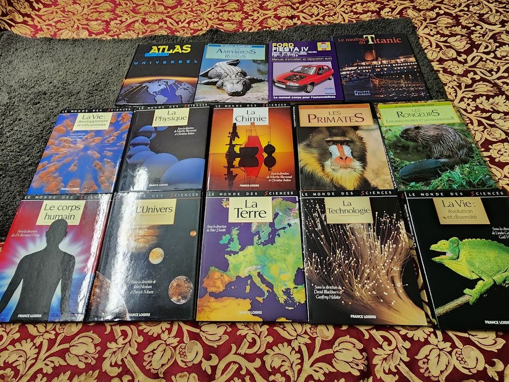  LIVRES DIVERS &eacute;tats presque neuf Livres et BD