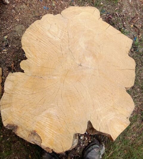 2 ENORMES BILLOT 145 Poitiers (86)