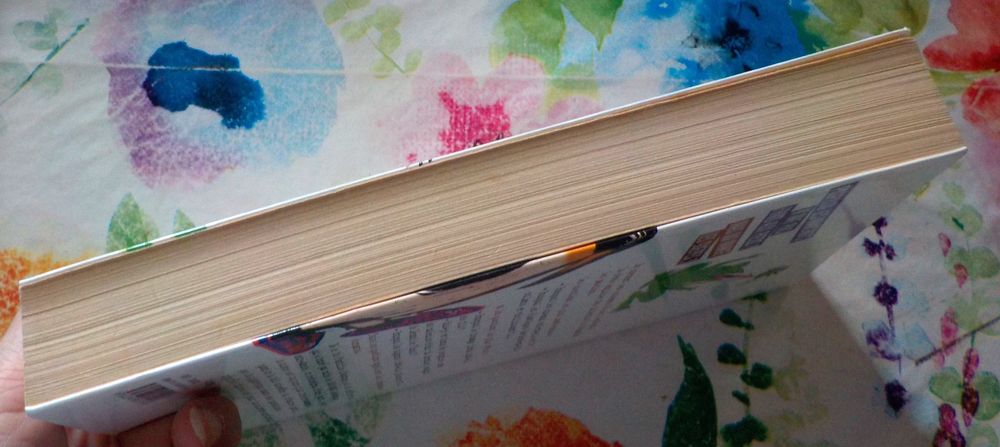 POURQUOI LES MANCHOTS N'ONT PAS FROID AUX PIEDS ? MAIS QUI M Livres et BD