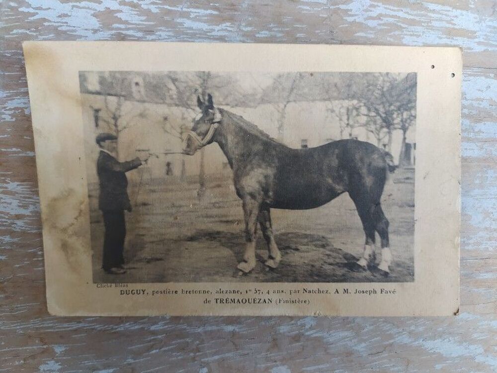 CPA Duguy Posti&egrave;re Bretonne Alezane &agrave; Tr&egrave;maou&eacute;zan Bretagne 