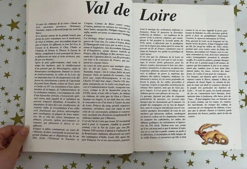 Ch&acirc;teaux de la Loire. Livre Illustr&eacute;. Excellent &Eacute;tat Livres et BD