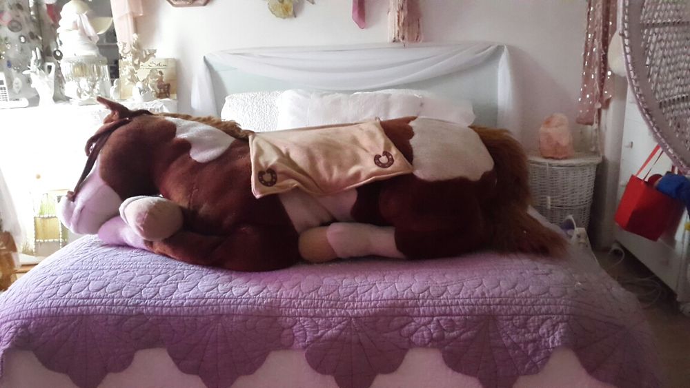 cheval peluche.. Jeux / jouets
