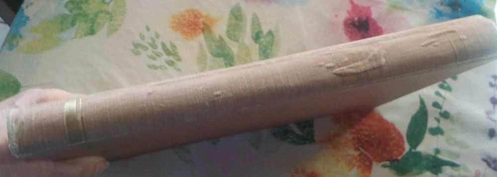 LE PETIT CHASSEUR DE LA PAMPA de Arnold GALOPIN 1 &agrave; 50 1925 Livres et BD