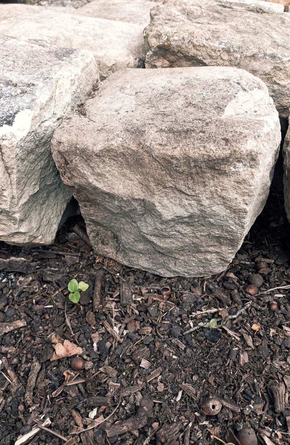 Pave gres gros cube beige ancien sol jardin bricolage terras Jardin
