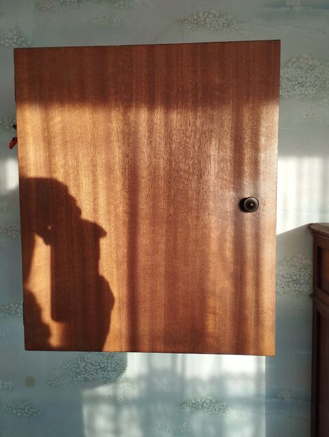 Armoire murale quasiment cubique 30 Neuville-en-Ferrain (59)