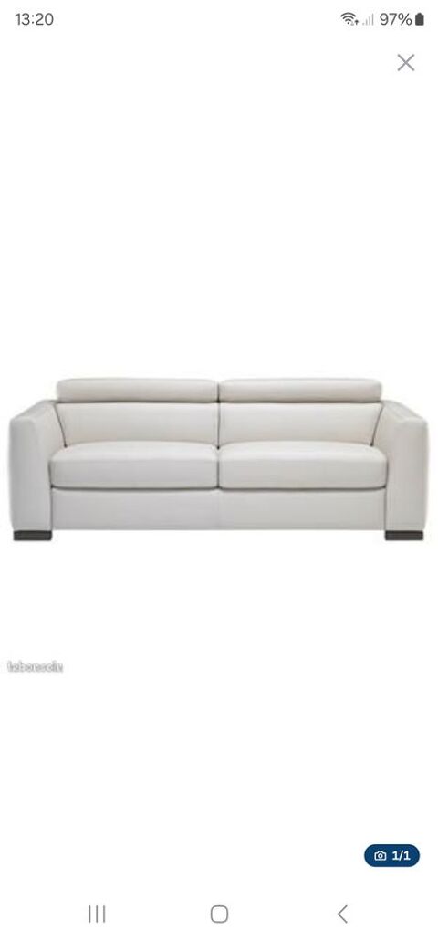 Canap Cuir Italien 1500 Cellieu (42)
