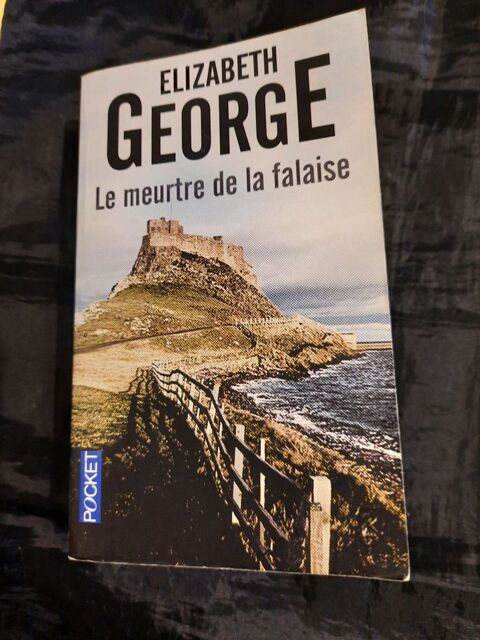 Le meurtre de la falaise (policier) 5 Palisse (19)