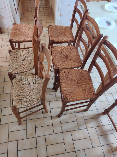lot de 6 chaises en paille 15 Le Puiset-Dor (49)
