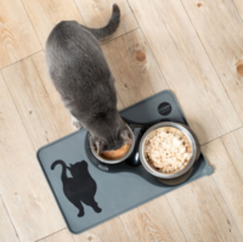   SET DE TABLE POUR LE REPAS DE VOTRE CHAT 