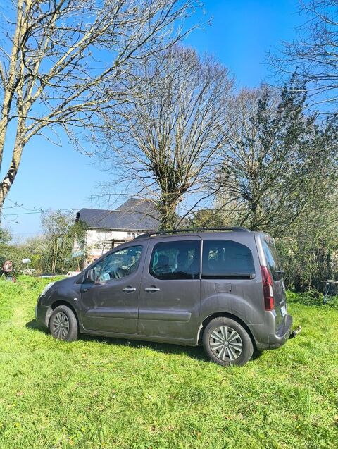 Peugeot partner tepee 1.6 BlueHDi 100ch BVM5 Active