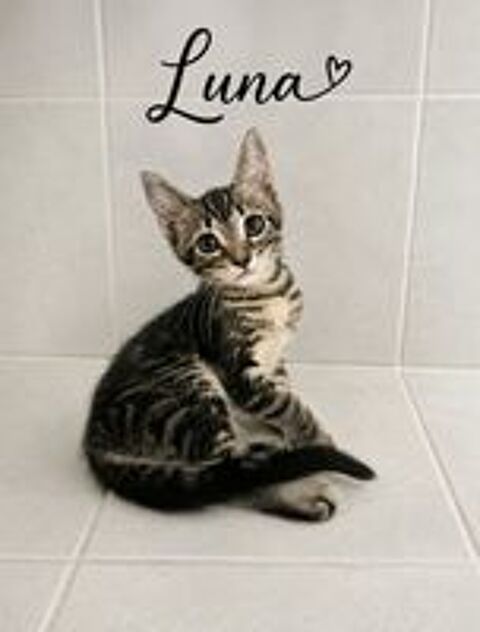   LUNA 