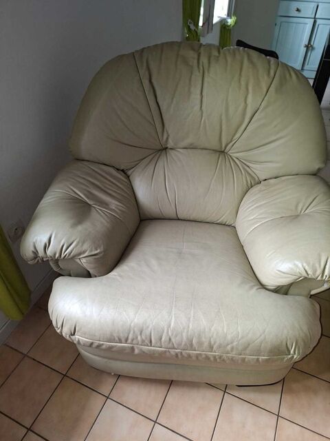 2 fauteuils en cuir 120 Saint-Julien (21)