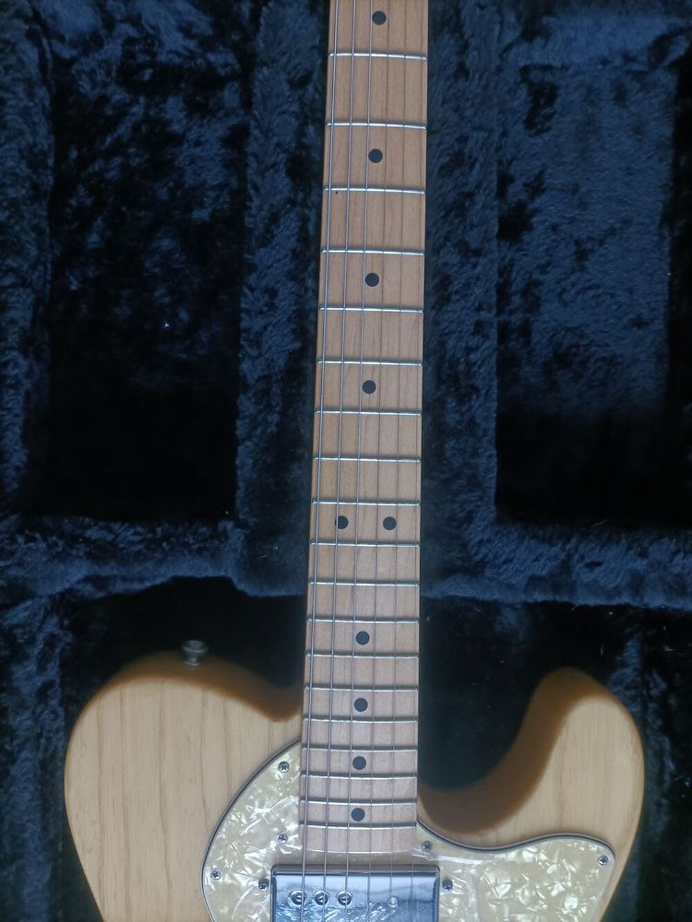 Fender Telecaster Thinline Mexico Classic Series 72
2016 Instruments de musique