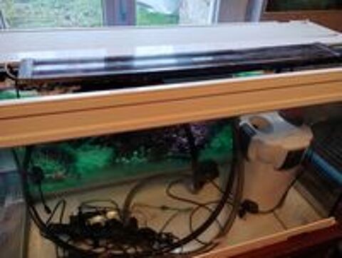   Aquarium complet 240 litres  