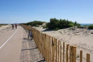 Location  Appartement 