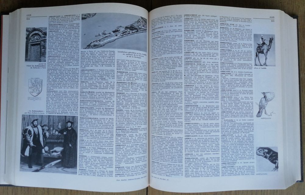 Dictionnaire Encyclop&eacute;dique LAROUSSE 10 volumes Livres et BD