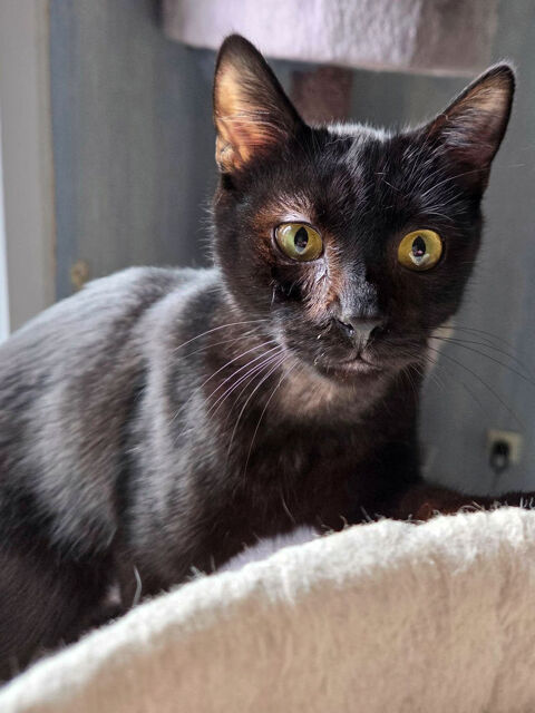 LOUSTI 1 26780 Espeluche