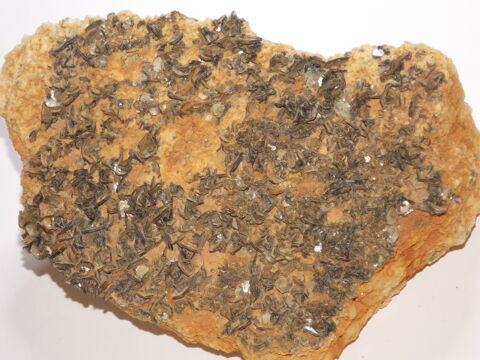 Mica massif de l'Argenti�re Haute-Savoie France 497gr   80 Moyenmoutier (88)