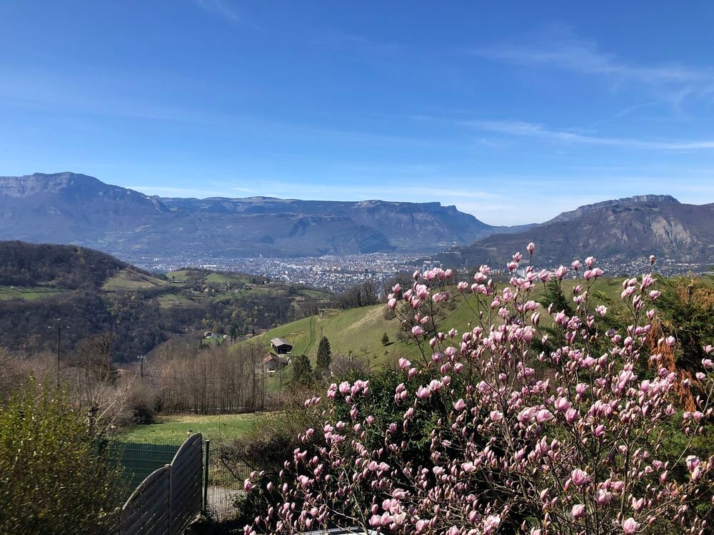 � vendre  Maison Venon (38610)