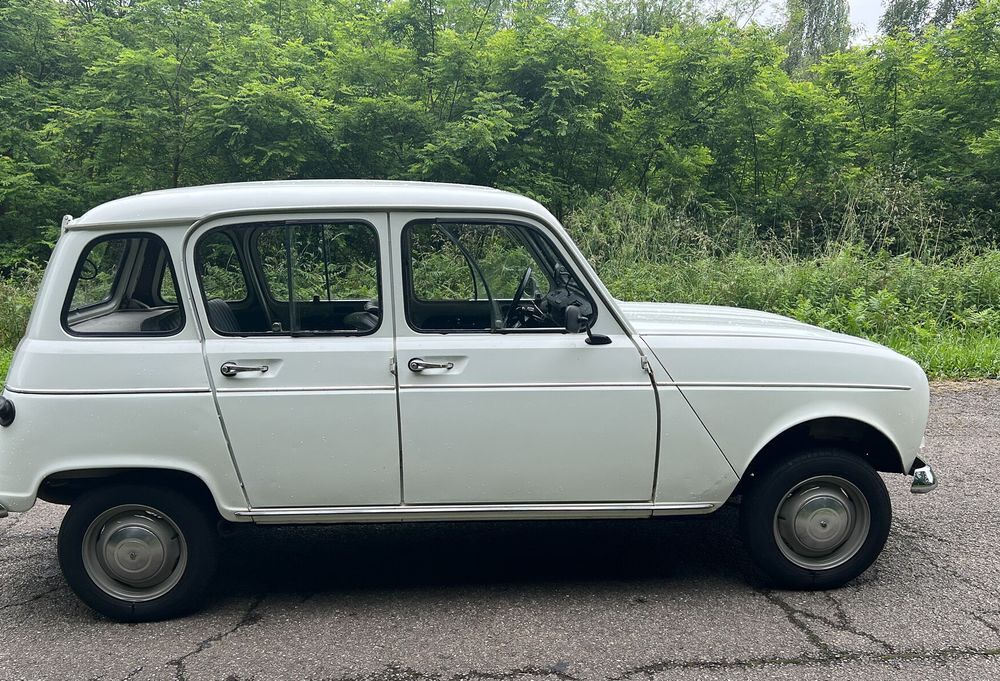 Divers 4l 1973 occasion 65000 Tarbes