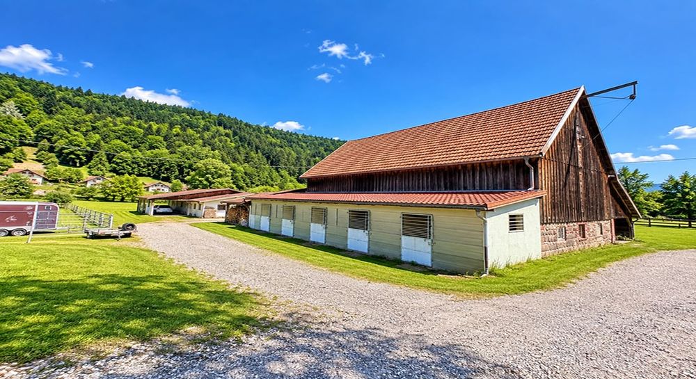 Vente Ferme FRANCE - À SOULTZEREN (68) ? CORPS DE FERME Soultzeren