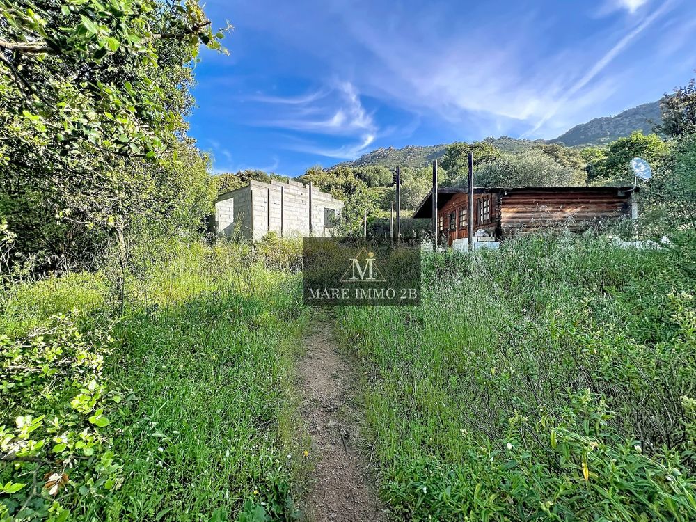 Vente Terrain Terrain constructible de 4100m² à 20minutes de Calvi Calvi