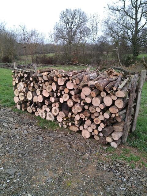 bois de chauffage 60 Valanjou (49)