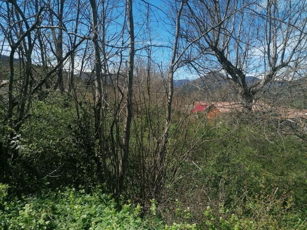 Vente Terrain Terrain - 700m ² Seille