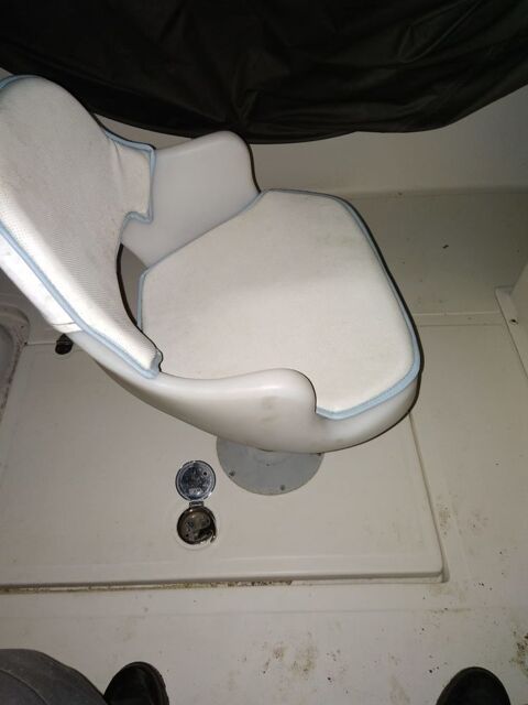 Bateaux &agrave; moteur P&ecirc;che-promenade 2011 occasion La Chapelle-Saint-Laurent 79430