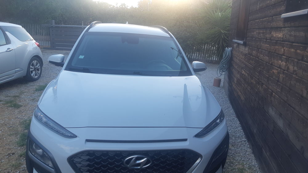 Kona 1.6 CRDi 136 DCT-7 Business 2019 occasion 20100 Sart&egrave;ne
