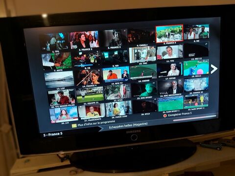 TV Samsung 50 Saint-Christophe-du-Ligneron (85)