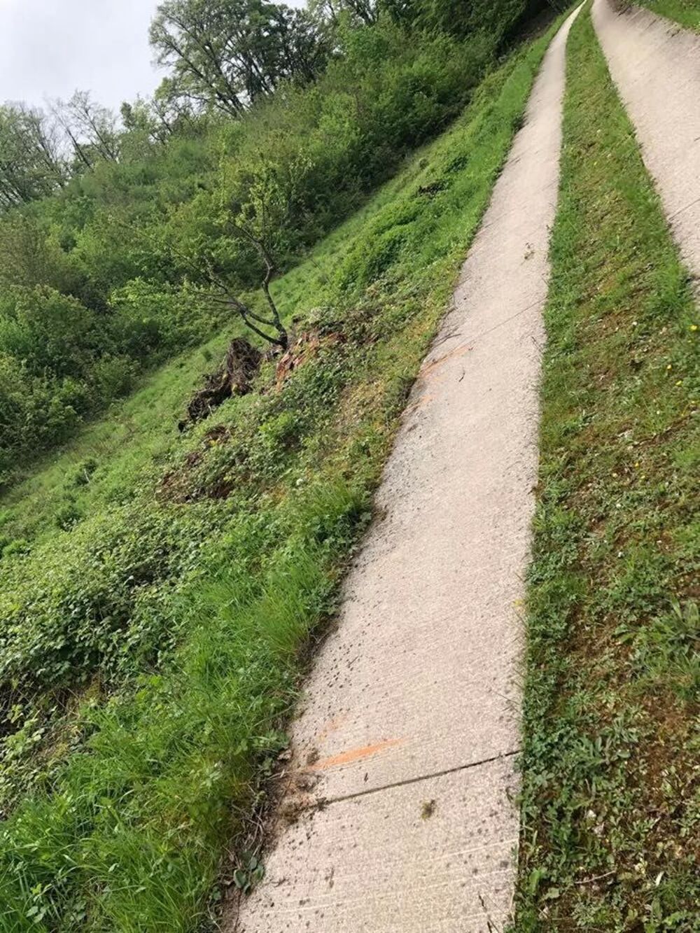  PRÊTE GRATUITEMENT pour animaux de ferme:Terrain-Joinville   