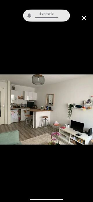  Appartement � louer 2 pi�ces 39 m�