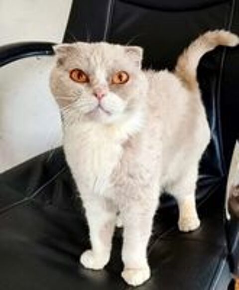   JASMINE SE TROUVE DANS UN REFUGE EN UKRAINE 