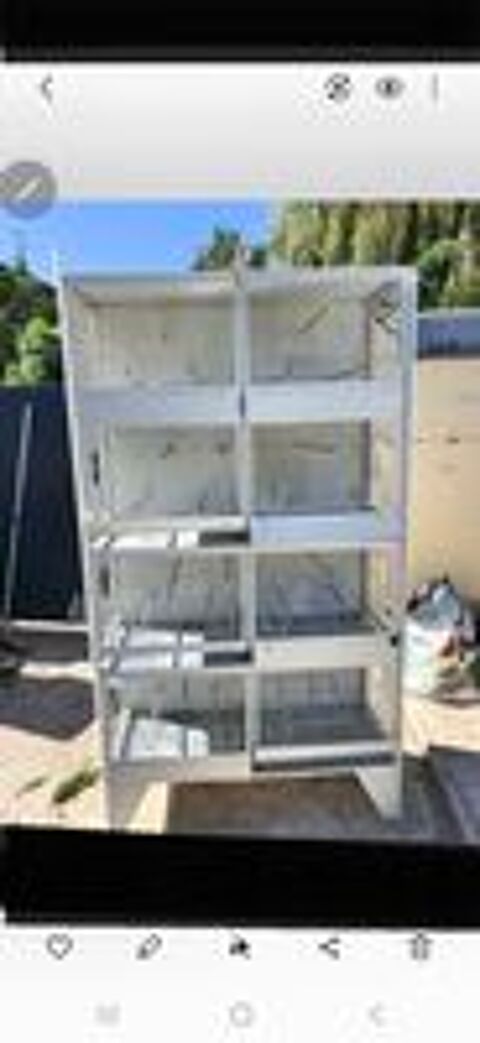  Batterie d'élevage Terenziani 4 étages  