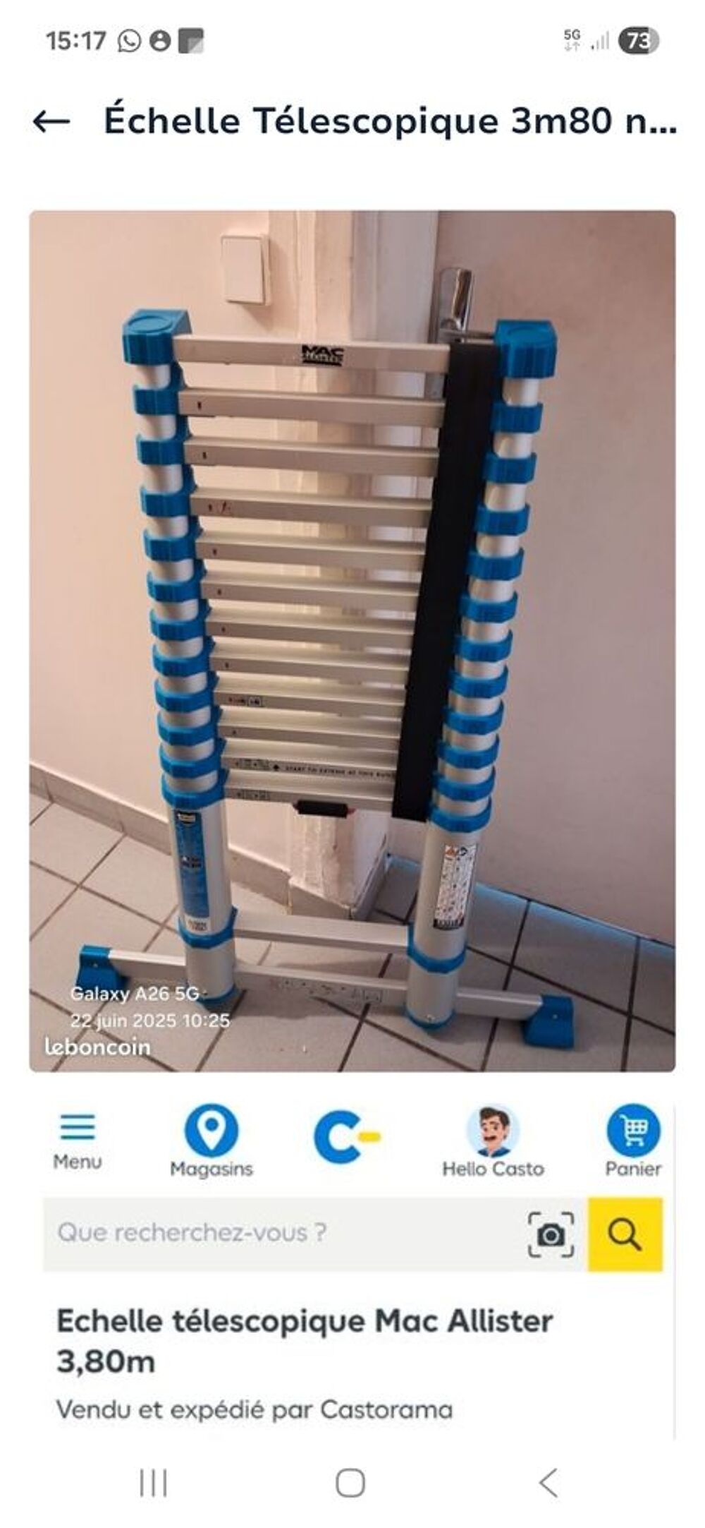 &Eacute;chelle t&eacute;lescopique 3m80 Bricolage