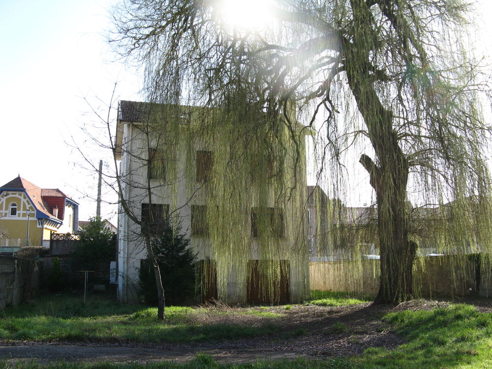 Vente Maison Maison individuelle 180 m² - Vaucouleurs (55) Vaucouleurs