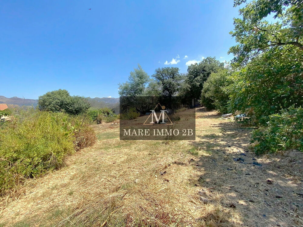 Vente Terrain terrain constructible Calvi