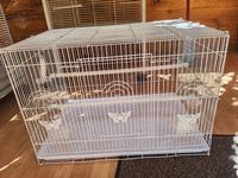   Grande cage 