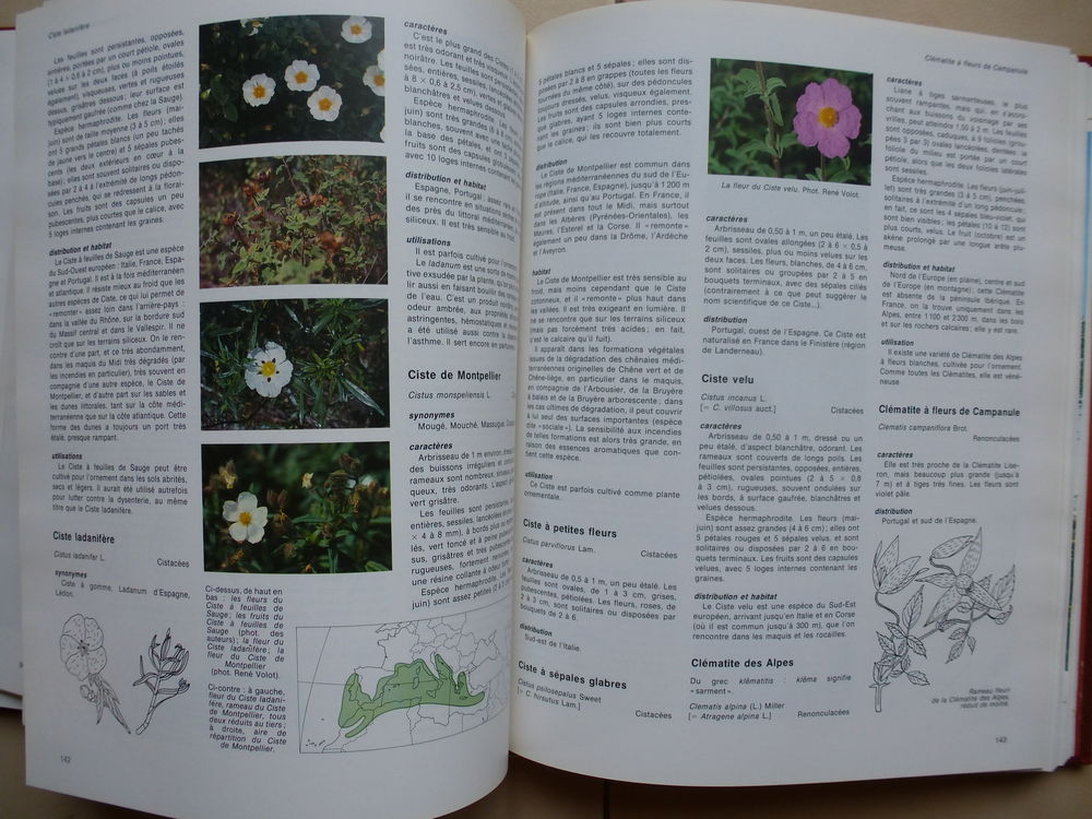 Larousse des Arbres et des Arbustes Livres et BD