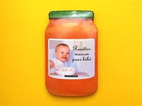 Recettes Maison pour Bb- Cline Scharot- Larousse 2 Paris 15 (75)